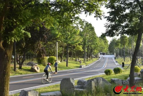2024年濰坊 匠心鑄就景觀(guān)優(yōu)美、生態(tài)良好的城市園林綠化新格局